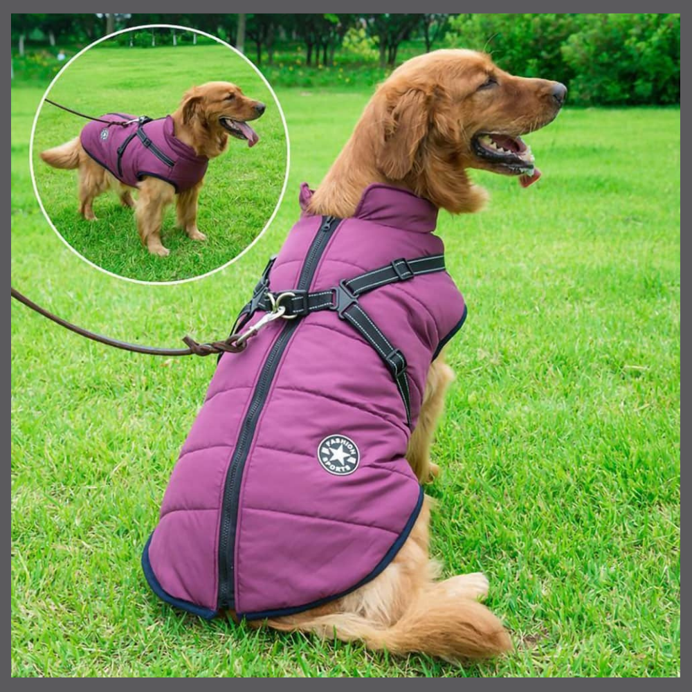 WarmPaws™ – Abrigo Impermeable para Perro