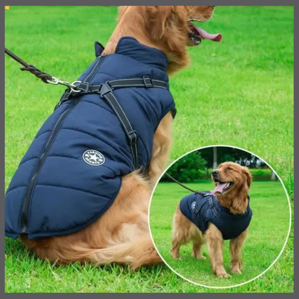 WarmPaws™ – Abrigo Impermeable para Perro
