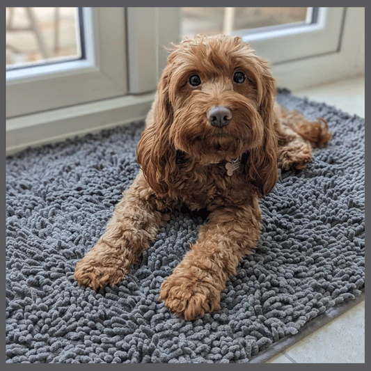 PawClean™ – Alfombra Absorbente Anti-Huella