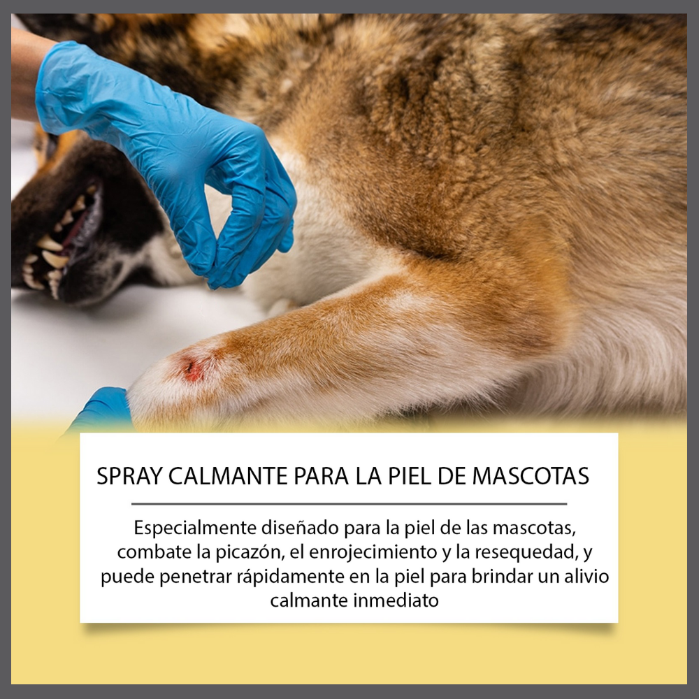 Dermapaws™ – Spray Natural Anti-Picazón