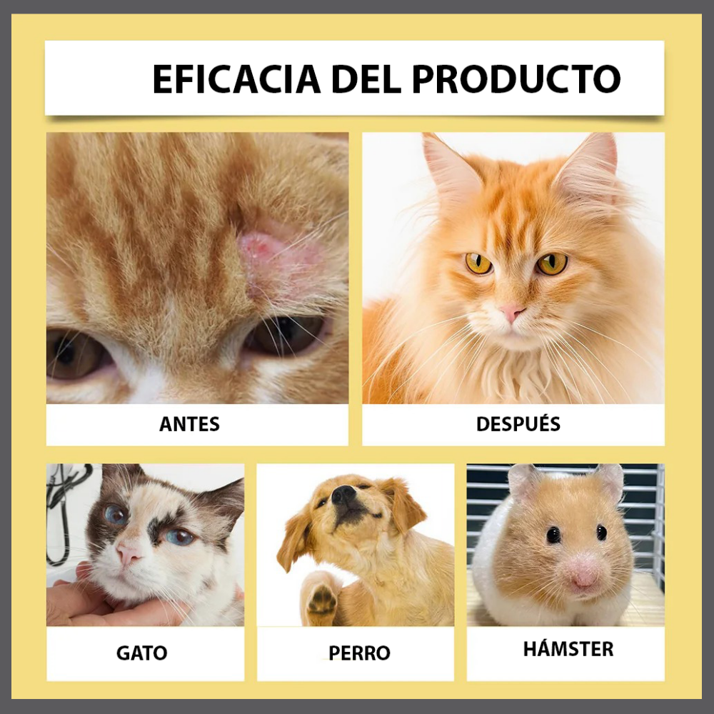 Dermapaws™ – Spray Natural Anti-Picazón