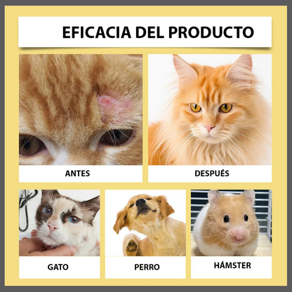 Dermapaws™ – Spray Natural Anti-Picazón